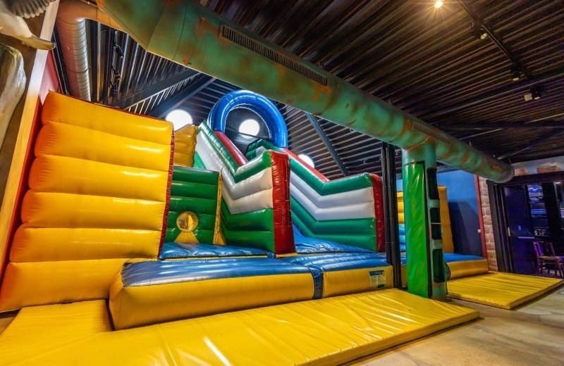 Monkey cage and air cushion