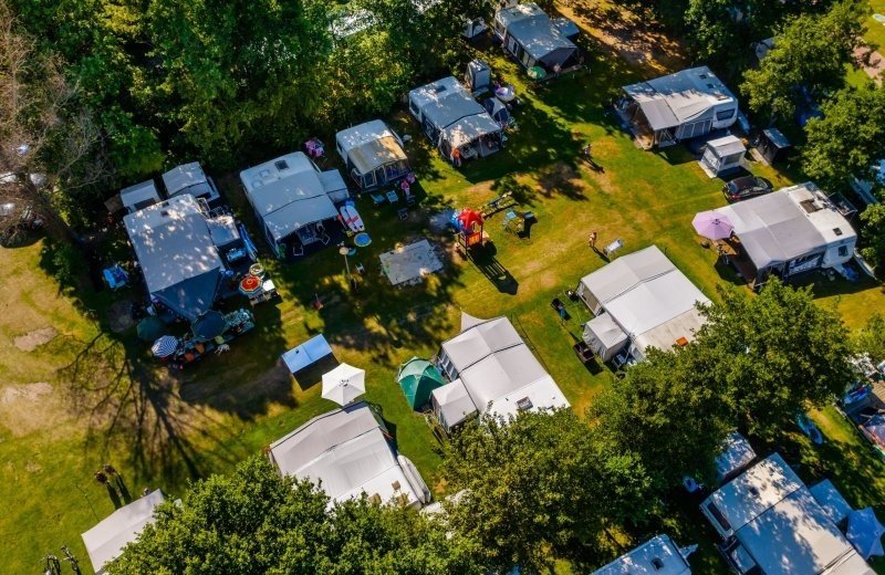 Pet-free Comfort site