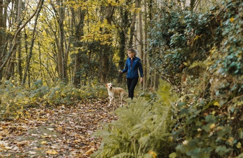 Elfstedenpad: Stage 15